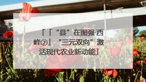 「“县”在图强·西峰②」“三元双向”激活现代农业新动能