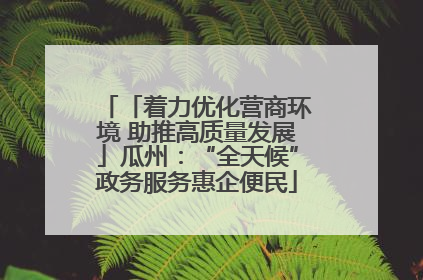 「着力优化营商环境 助推高质量发展」瓜州：“全天候”政务服务惠企便民