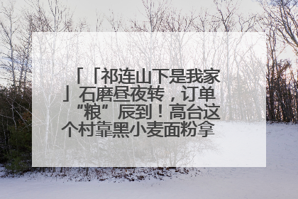 「祁连山下是我家」石磨昼夜转，订单“粮”辰到！高台这个村靠黑小麦面粉拿下成立来最大订单
