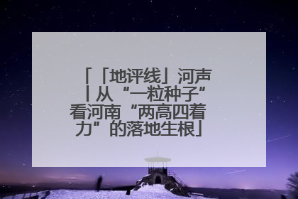 「地评线」河声丨从“一粒种子”看河南“两高四着力”的落地生根