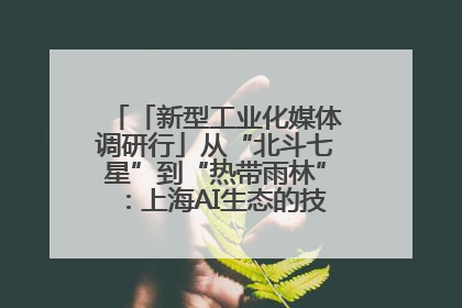 「新型工业化媒体调研行」从“北斗七星”到“热带雨林”：上海AI生态的技术商业共生密码