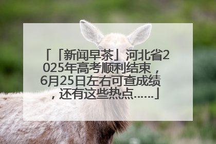 「新闻早茶」河北省2025年高考顺利结束，6月25日左右可查成绩，还有这些热点……