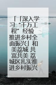 「深入学习“千万工程”经验 推进乡村全面振兴」和美荔城 共富共美 荔城区扎实推进乡村振兴工作