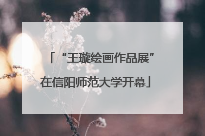“王璇绘画作品展”在信阳师范大学开幕