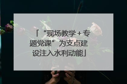 “现场教学＋专题党课”为支点建设注入水利动能