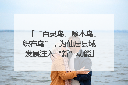 “百灵鸟、啄木鸟、织布鸟”，为仙居县域发展注入“新”动能