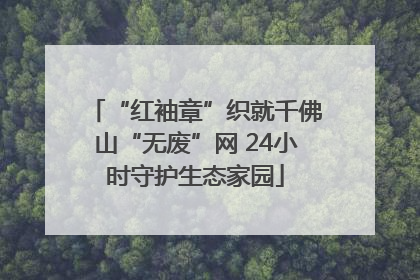 “红袖章”织就千佛山“无废”网 24小时守护生态家园