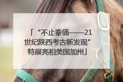“不止秦俑——21世纪陕西考古新发现”特展亮相美国加州