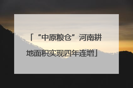 “中原粮仓”河南耕地面积实现四年连增