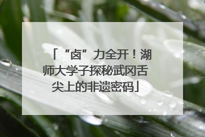 “卤”力全开！湖师大学子探秘武冈舌尖上的非遗密码