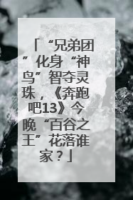 “兄弟团”化身“神鸟”智夺灵珠，《奔跑吧13》今晚“百谷之王”花落谁家？
