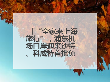 “全家来上海旅行”，浦东机场口岸迎来沙特、科威特首批免签入境旅客