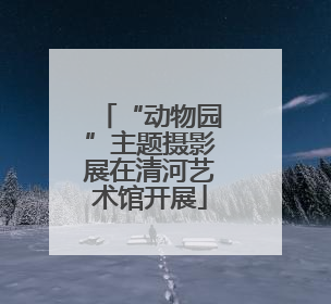 “动物园”主题摄影展在清河艺术馆开展