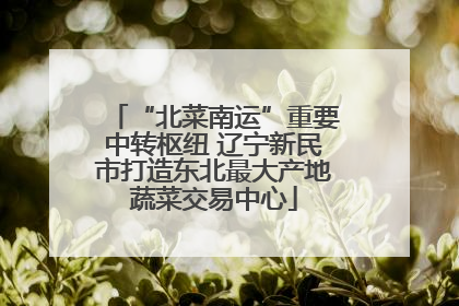 “北菜南运”重要中转枢纽 辽宁新民市打造东北最大产地蔬菜交易中心