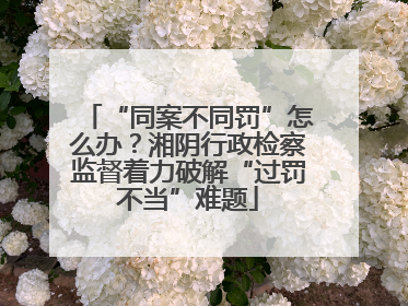 “同案不同罚”怎么办？湘阴行政检察监督着力破解“过罚不当”难题
