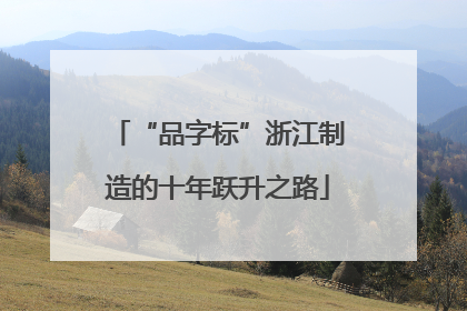 “品字标”浙江制造的十年跃升之路
