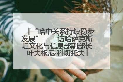 “哈中关系持续稳步发展”——访哈萨克斯坦文化与信息部副部长叶夫根尼·科切托夫