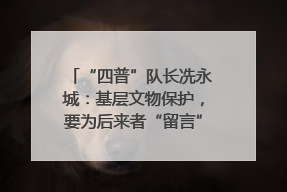 “四普”队长冼永城：基层文物保护，要为后来者“留言”｜文化中国行·我在广东找文物
