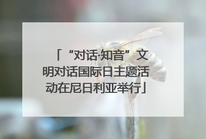 “对话·知音”文明对话国际日主题活动在尼日利亚举行