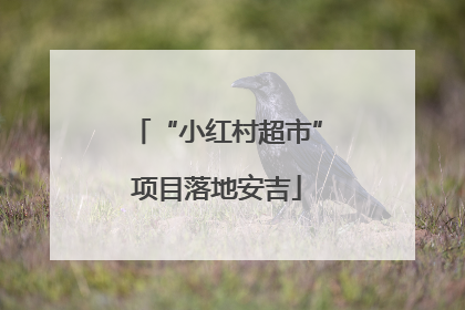 “小红村超市”项目落地安吉