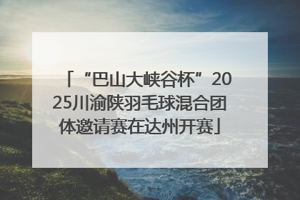“巴山大峡谷杯”2025川渝陕羽毛球混合团体邀请赛在达州开赛