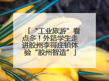 “工业旅游”看点多！外籍学生走进胶州李哥庄镇体验“胶州智造”