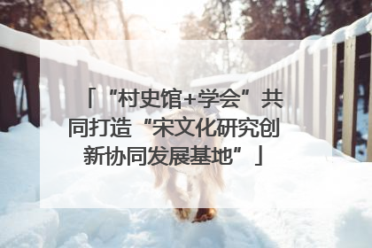 “村史馆+学会”共同打造“宋文化研究创新协同发展基地”
