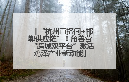 “杭州直播间+邯郸供应链”！角兽营“跨域双平台”激活鸡泽产业新动能