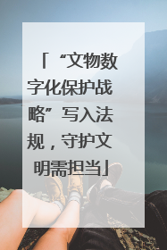 “文物数字化保护战略”写入法规，守护文明需担当