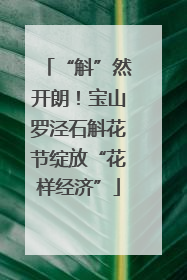 “斛”然开朗！宝山罗泾石斛花节绽放“花样经济”