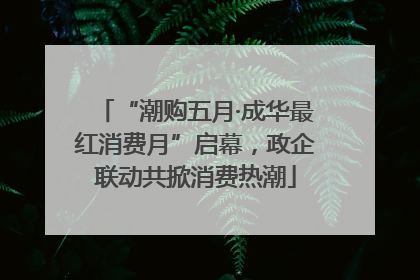 “潮购五月·成华最红消费月”启幕，政企联动共掀消费热潮