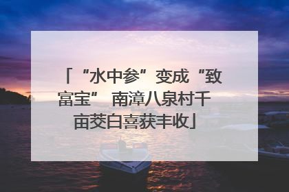 “水中参”变成“致富宝” 南漳八泉村千亩茭白喜获丰收