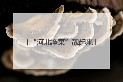 “河北净菜”靓起来