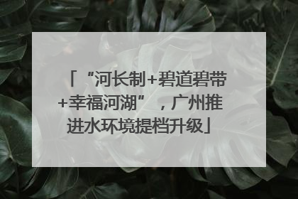 “河长制+碧道碧带+幸福河湖”，广州推进水环境提档升级
