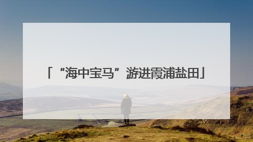 “海中宝马”游进霞浦盐田