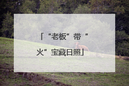 “老板”带“火”宝藏日照