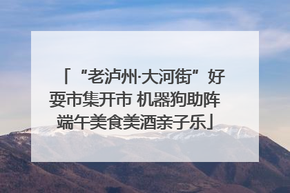 “老泸州·大河街”好耍市集开市 机器狗助阵端午美食美酒亲子乐
