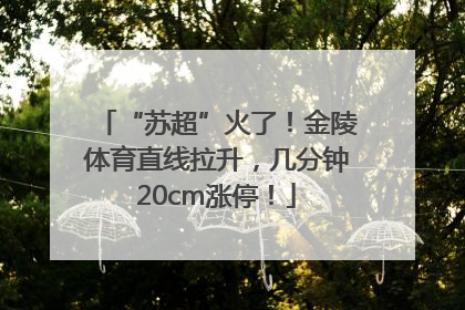“苏超”火了！金陵体育直线拉升，几分钟20cm涨停！