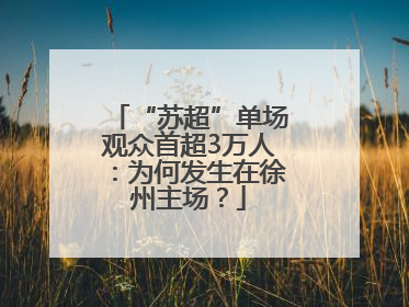 “苏超”单场观众首超3万人：为何发生在徐州主场？