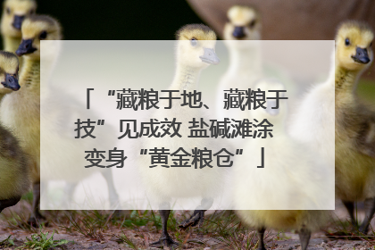 “藏粮于地、藏粮于技”见成效 盐碱滩涂变身“黄金粮仓”
