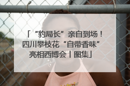 “豹局长”亲自到场！四川攀枝花“自带香味”亮相西博会丨图集