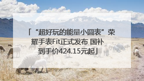 “超好玩的能量小圆表”荣耀手表Fit正式发布 国补到手价424.15元起