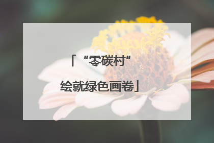 “零碳村” 绘就绿色画卷