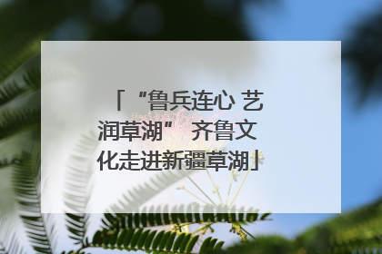 “鲁兵连心 艺润草湖” 齐鲁文化走进新疆草湖
