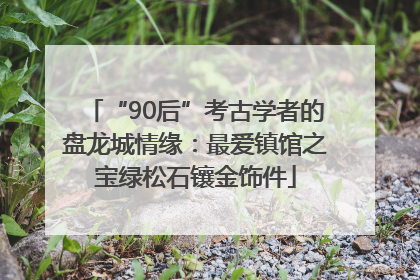 “90后”考古学者的盘龙城情缘：最爱镇馆之宝绿松石镶金饰件