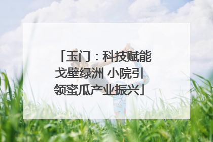 玉门：科技赋能戈壁绿洲 小院引领蜜瓜产业振兴