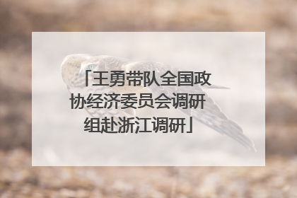 王勇带队全国政协经济委员会调研组赴浙江调研