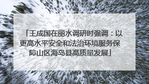 王成国在丽水调研时强调：以更高水平安全和法治环境服务保障山区海岛县高质量发展