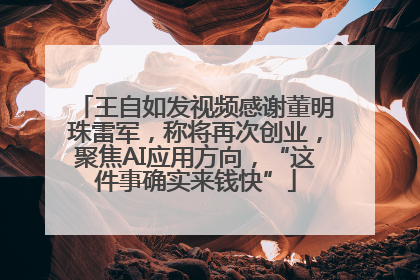 王自如发视频感谢董明珠雷军，称将再次创业，聚焦AI应用方向，“这件事确实来钱快”