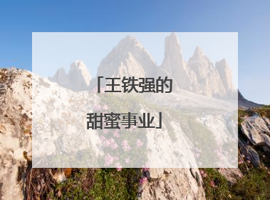 王铁强的甜蜜事业